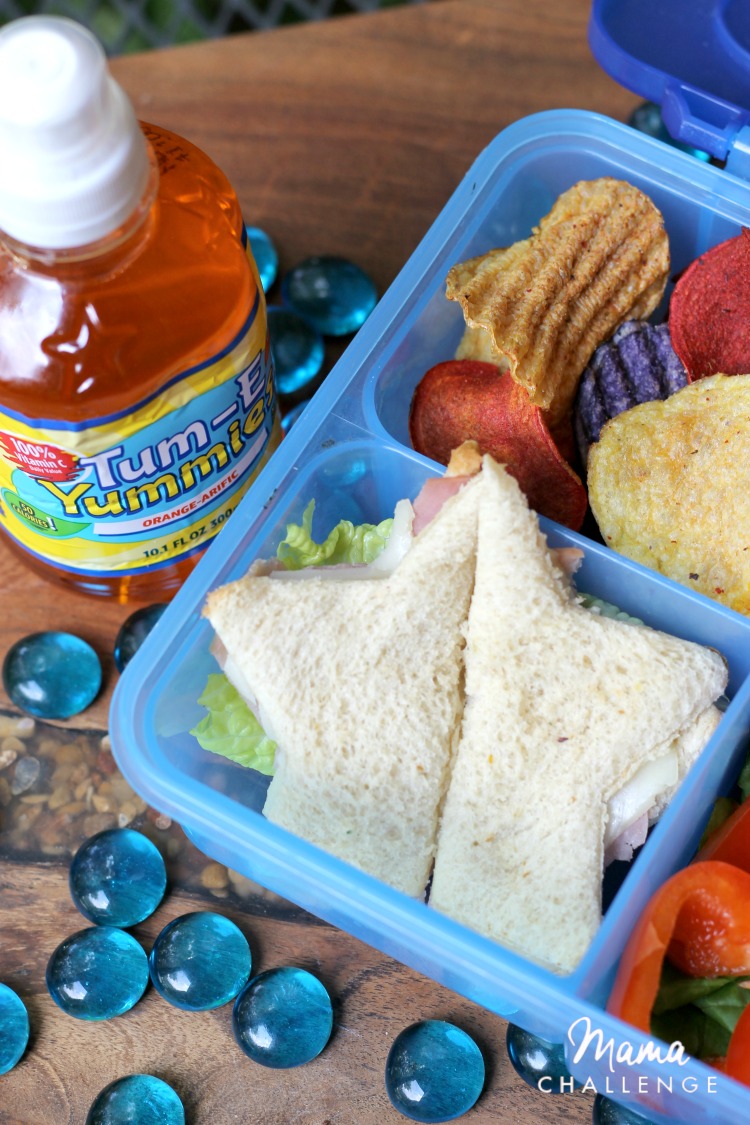5 Real Tips for Back to School Bento Box Lunches13