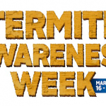 SPRING Into Action to Protect Your Home: Termite Awareness Week, March 16-22