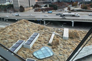 Perot-Roof