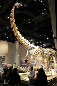 Dinosaur-Perot